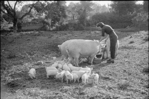Самые загадочные исчезновения в истории