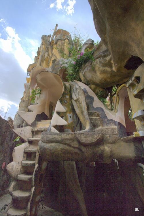 Во Вьетнами нашли дом-дерево