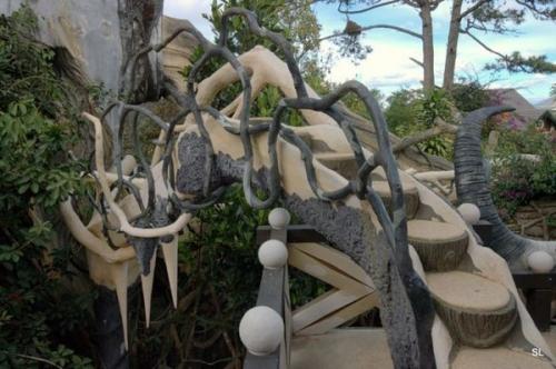 Во Вьетнами нашли дом-дерево