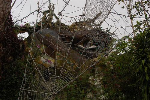 Во Вьетнами нашли дом-дерево