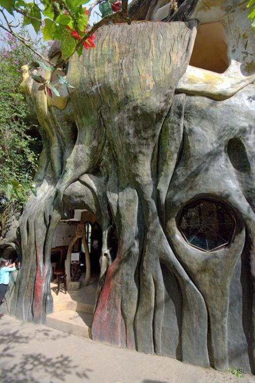 Во Вьетнами нашли дом-дерево