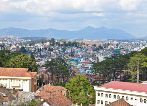Во Вьетнами нашли дом-дерево