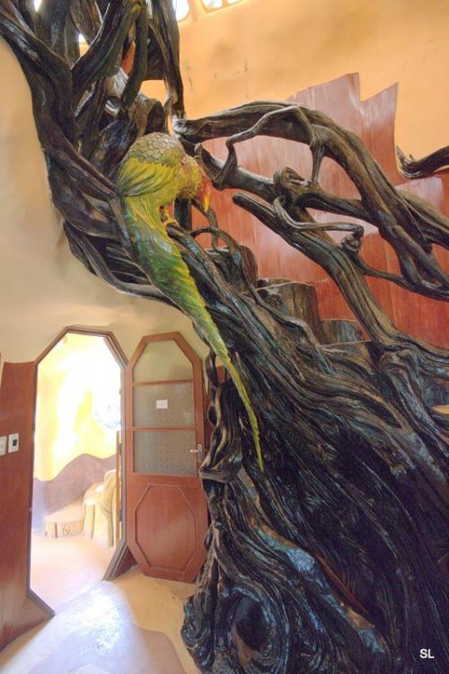Во Вьетнами нашли дом-дерево