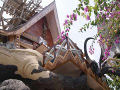 Во Вьетнами нашли дом-дерево