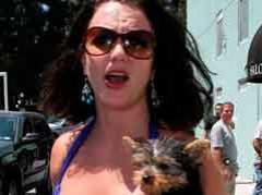 Бритни Спирс врезалась в Mercedes