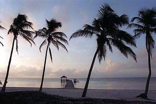 13 звезд кино, имеющих собственный остров