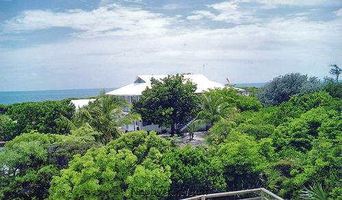 13 звезд кино, имеющих собственный остров