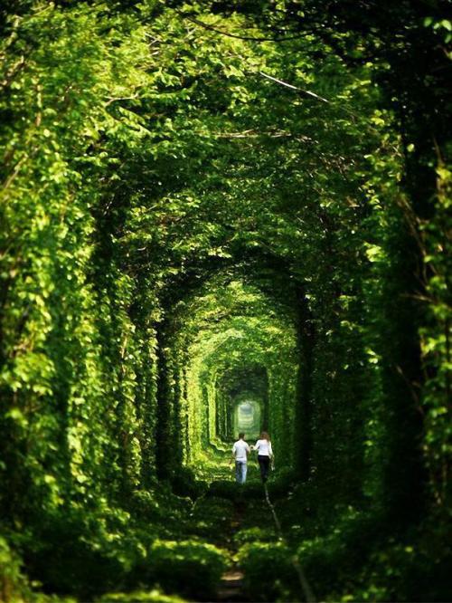 Самые сюрреалистические пейзажи нашей планеты