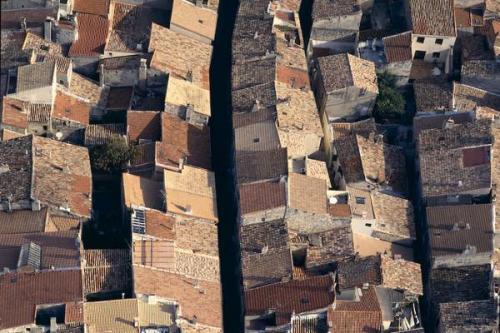 Фотограф Джейсон Хоукс  видит птичьими глазами