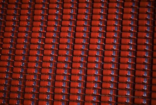 Фотограф Джейсон Хоукс  видит птичьими глазами