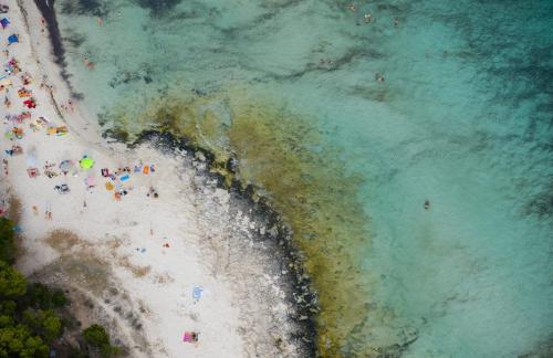 Фотограф Джейсон Хоукс  видит птичьими глазами