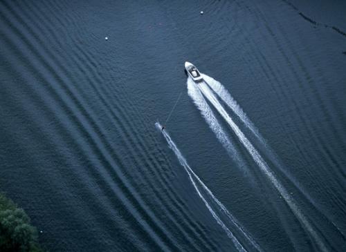 Фотограф Джейсон Хоукс  видит птичьими глазами