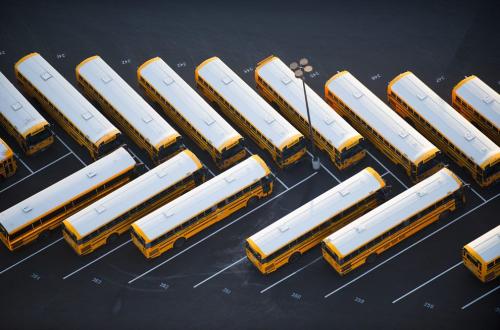 Фотограф Джейсон Хоукс  видит птичьими глазами