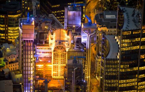 Фотограф Джейсон Хоукс  видит птичьими глазами