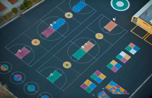 Фотограф Джейсон Хоукс  видит птичьими глазами