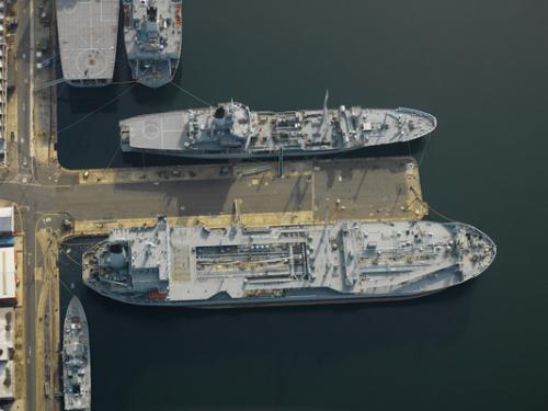 Фотограф Джейсон Хоукс  видит птичьими глазами