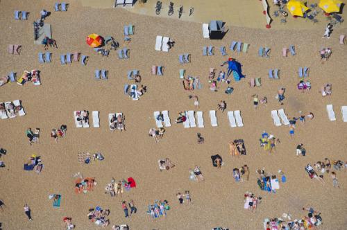 Фотограф Джейсон Хоукс  видит птичьими глазами