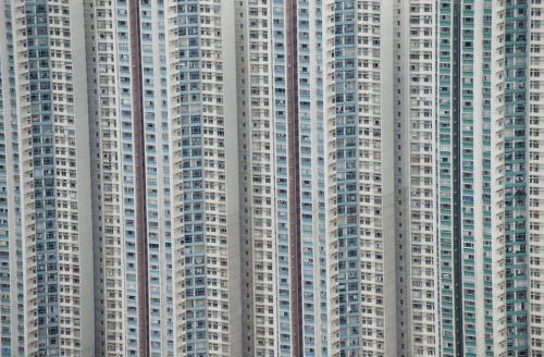 Фотограф Джейсон Хоукс  видит птичьими глазами