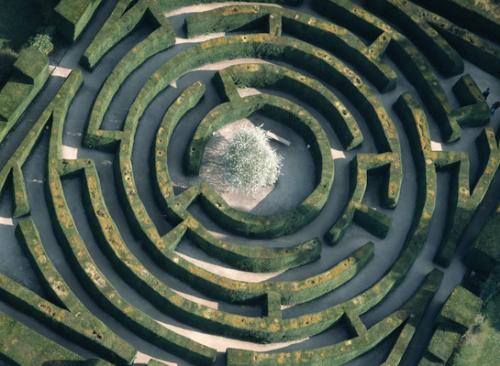 Фотограф Джейсон Хоукс  видит птичьими глазами