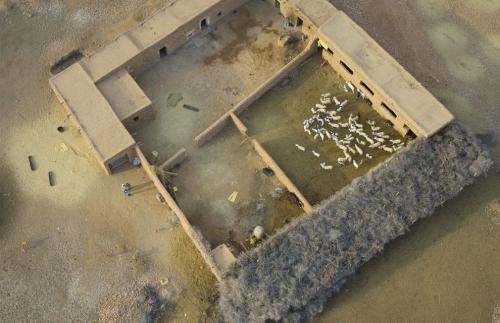 Фотограф Джейсон Хоукс  видит птичьими глазами