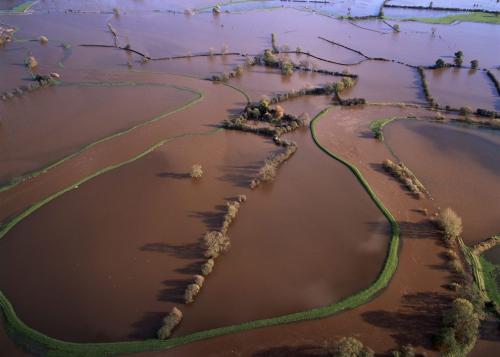 Фотограф Джейсон Хоукс  видит птичьими глазами