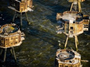 Фотограф Джейсон Хоукс  видит птичьими глазами