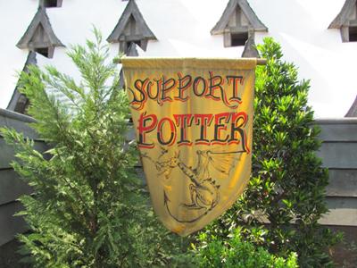 Как стать Гарри Поттером за