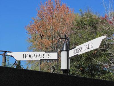 Как стать Гарри Поттером за