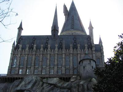 Как стать Гарри Поттером за