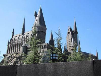 Как стать Гарри Поттером за