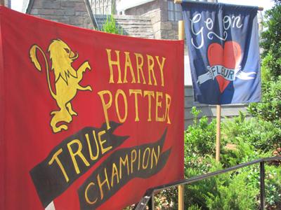 Как стать Гарри Поттером за