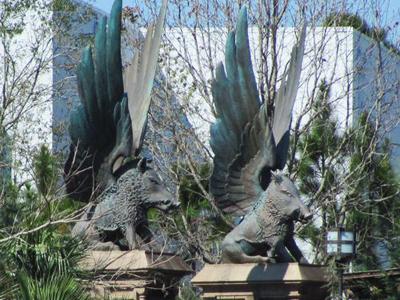 Как стать Гарри Поттером за