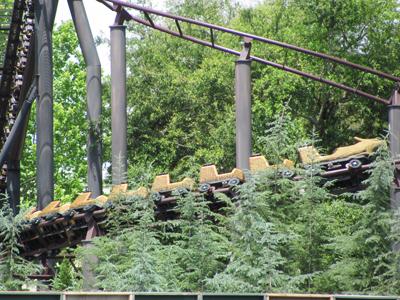 Как стать Гарри Поттером за