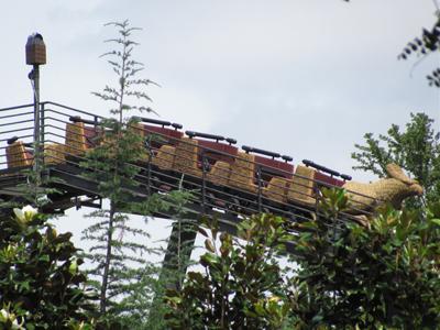 Как стать Гарри Поттером за