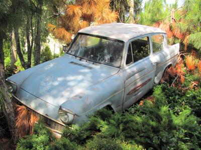 Как стать Гарри Поттером за