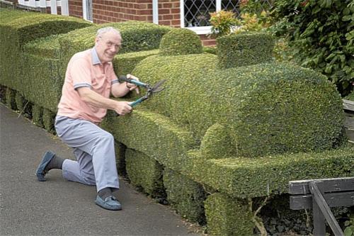 В Англии соревнуются безумные садовники