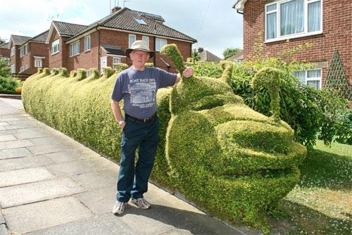 В Англии соревнуются безумные садовники