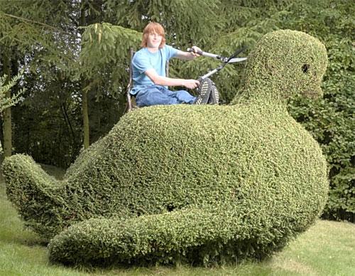 В Англии соревнуются безумные садовники