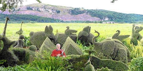 В Англии соревнуются безумные садовники