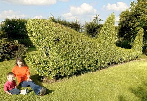 В Англии соревнуются безумные садовники