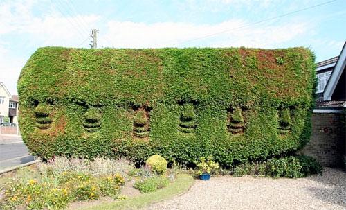 В Англии соревнуются безумные садовники