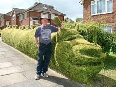 В Англии соревнуются безумные садовники