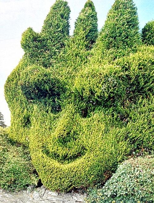 В Англии соревнуются безумные садовники