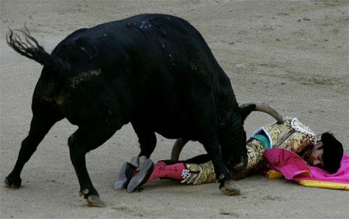Лучшего испанского матадора продырявили два быка