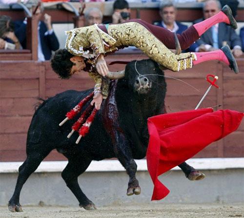 Лучшего испанского матадора продырявили два быка