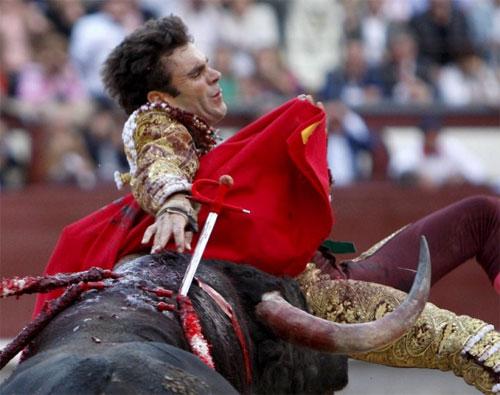 Лучшего испанского матадора продырявили два быка