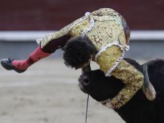 Лучшего испанского матадора продырявили два быка