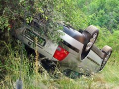 «Я никогда не думал, что буду убит слоном»