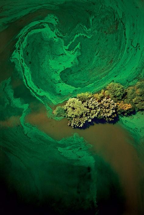 Красота промышленных отходов: со всеми вытекающими