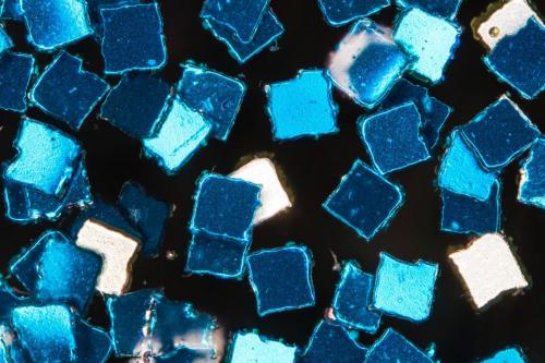 27 самых интересных научных фотографий 2016 года